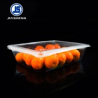 Wholesale Plastic Clean Fresh Fruit Clamshell Packaging Box