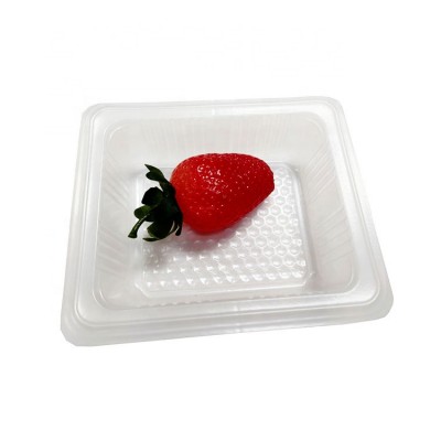 Recyclable Customized Biscuit Plastic Blister Insert Tray