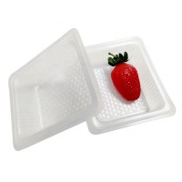 Custom Clear Cookies Blister Packaging Biscuit Plastic Tray